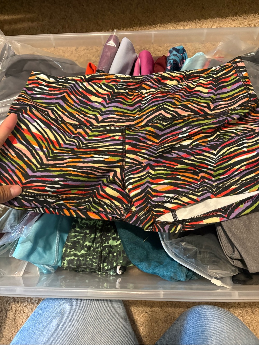 Fleo Multicolor Zebra Stripe Athletic Shorts